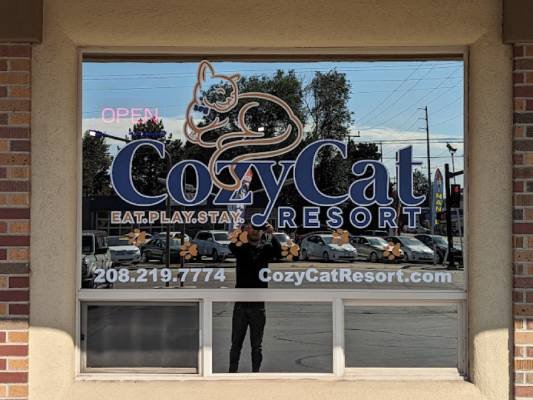 cozycatresort.com review